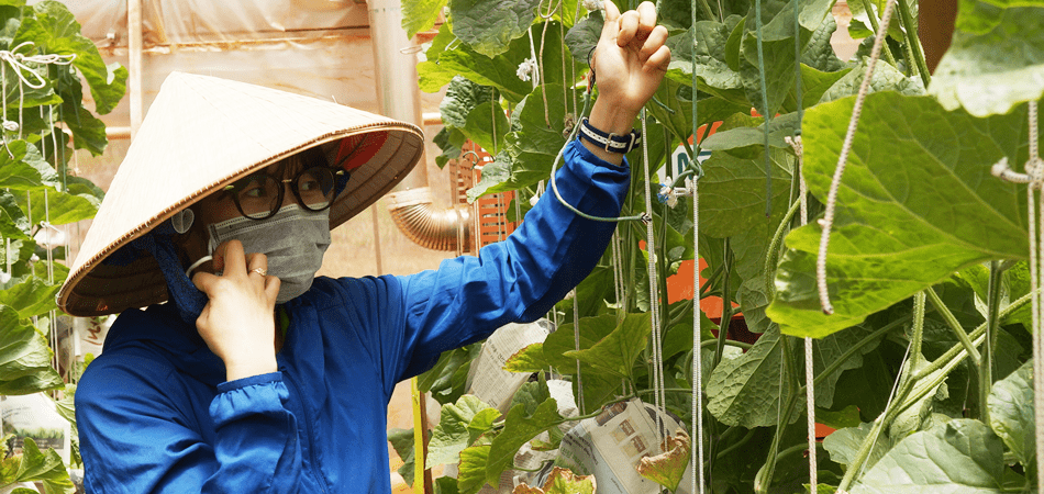 Duong Thi Theu (ズオン・ティ・テウ)