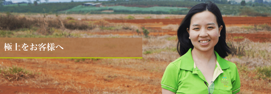 LUU THI MAI LAN (ルウ・ティ・マイ・ラン)