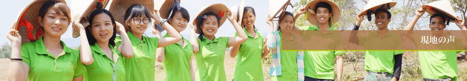 現地の声