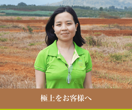 極上をお客様へ　LUU THI MAI LAN (ルウ・ティ・マイ・ラン)